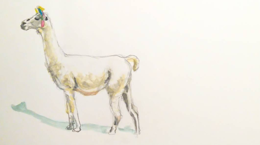 Llama watercolor